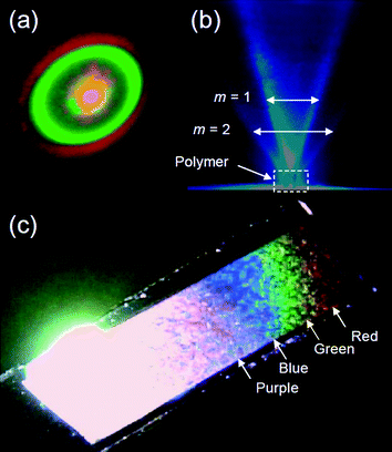 (a) Diffraction pattern under irradiation with combined red and green laser light for PFFLF (Vis). (b) Blue diffraction of PFFLF (Vis) at normal incidence. (c) Polymer film on ITO under white light showing iridescence with purple, blue, green, and red reflections.