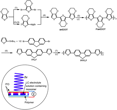 Synthesis of monomers and polymers. (1) N-Bromosuccinimide (NBS), CHCl3/glacial acetic acid.3 (2) n-BuLi, tetrahydrofuran (THF). (3) MgBr2·Et2O. (4) Ni(dppp)Cl2, THF. (5) Electro-polymerization under UV or Vis light in LC electrolyte solution. (6) Pd(PPh3)4, THF. (7) Electro-polymerization under UV or Vis light in LC electrolyte solution. LC = liquid crystal. Illustration shows polymerizationcell with incident light.