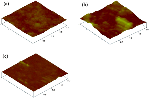 AFM topography images of ID-based polymer/PCBM (1 : 1) blend films. (a) PFID; (b) PBDTID; (c) PCzID. RMS surface roughness values are (a) 1.04 nm; (b) 8.51 nm; (c) 2.54 nm.