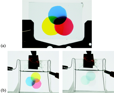 (a) Thin films of blue, red, and yellow polymers spray-cast onto ITO slides through circular shadow masks. (b) Thinner films are immersed in a tetrabutylammonium hexafluorophosphate (TBAPF6)/PC solution and held at −0.25 V (left) and 1.2 V (right) vs. Ag wire.