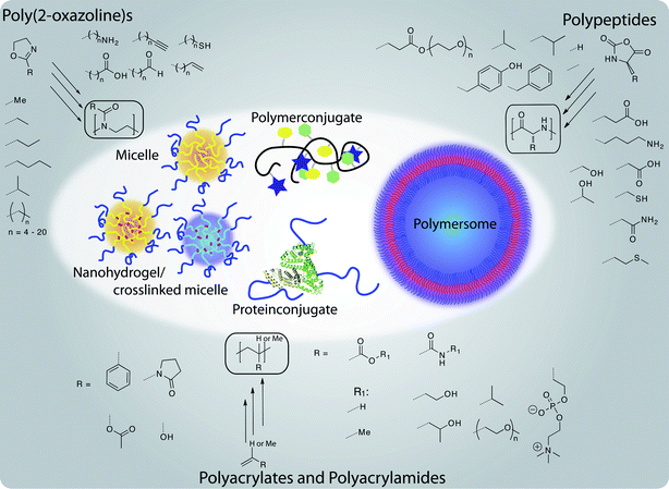 Well-defined polymer architectures accessible from non-PEG polymers for therapeutic applications: a brief overview about structural variety of polymers and resulting structures discussed in this review.