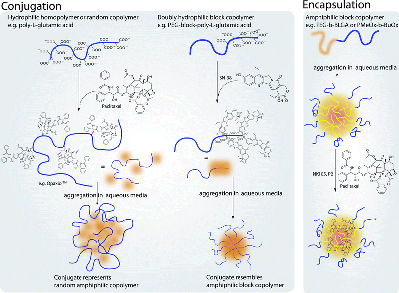 Illustration outlining different approaches of encapsulation and conjugation of drugs into polymer–micelles or polymer–drug conjugates, respectively. Conjugation can be performed to yield structures resembling either random copolymers or block copolymers. In contrast, block copolymers can be used to physically entrap hydrophobic drugs in the micellar core increasing drug solubility.