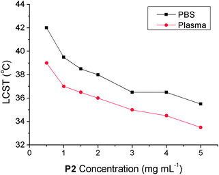 Observed LCST for P2 in phosphate buffer saline (black squares) or bovine plasma (red circles) as a function of polymer concentration.