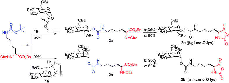 Synthesis of glyco amino acid NCA's. (a) HAuCl4, CH2Cl2, rt, 0.5 h, 4 Å MS powder; (b) Pd/C, H2, 400 psi, CH3OH, 12 h; (c) triphosgene, THF, α-pinene, 70 °C.