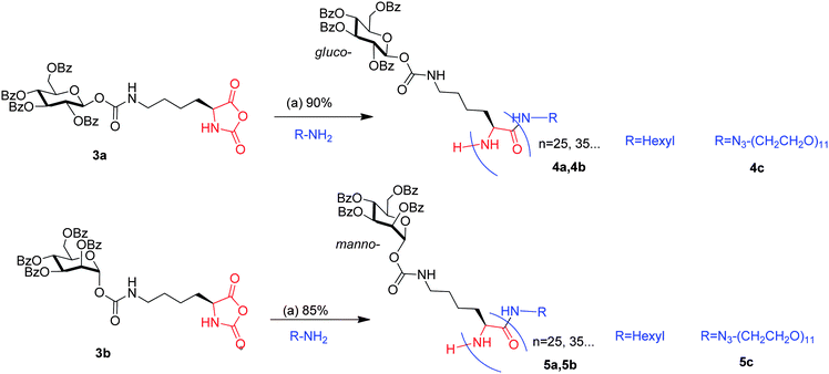 Glycopolypeptides by ROP of glyco amino acid NCA's. (a) Dioxane/acetonitrile/DMF, proton sponge (0.25 eq.), 24 h, rt.