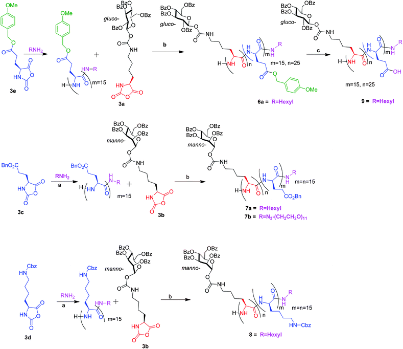 Synthesis of diblock copolypeptides. (a) DMF, rt; (b) DMF, 0.25 eq. Proton Sponge, 30 h, rt, 95%; (c) 10%TFA in CH2Cl2, 0.5 h.