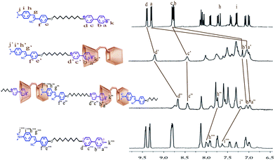 
          
            1H NMR spectra of K, R1 (1 : 1 mixture of Bis-SC4A and K), P (protonation of R1 with CF3COOH), and K-H (protonation of K with CF3COOH) in DMSO-d6 (400 MHz, 293 K).