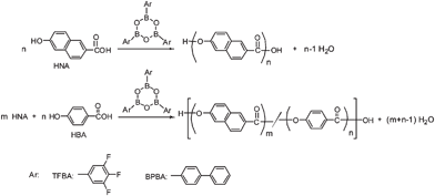 
          Polymerization of HNA and copolymerization with HBA in the presence of boronic anhydride.