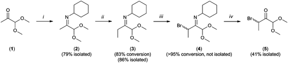 Synthesis of a protected, α-oxo-aldehyde functionalized ATRP initiator (5) from methylglyoxal 1,1-dimethylacetal (1). Reaction conditions: (i) cyclohexylamine, CaCl2, 45 °C; (ii) lithium diisopropylamide, CH3I, and THF; (iii) N-bromosucinimide, CCl4; and (iv) Amberlite IR-120, CCl4.