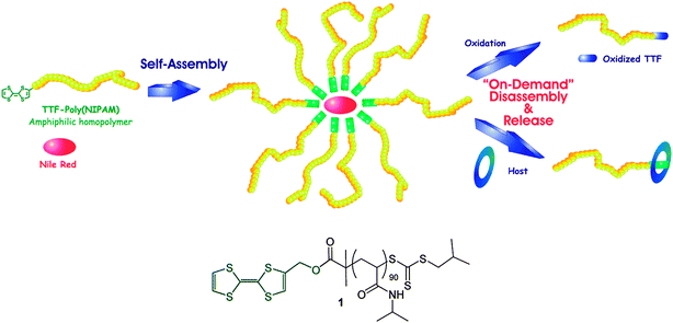 Schematic representation of tetrathiafulvalene end capped PNIPA polymers exhibiting cooperative multiresponsive properties derived from a redox mediated host–guest type self-assembly. Reproduced with permission from ref. 56.