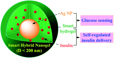 Multifunctional core–shell hybrid nanoparticles for simultaneous optical glucose sensing and self-regulation of insulin release. Reproduced with permission from ref. 77.