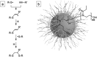 (a) Reaction pathway of radical thiol–yne addition. (b) Structure of PBOX-b-PEOX and corresponding spherical micelles in water.