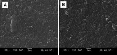 
            SEM images of doped (A) and dedoped PAcN (B) deposited on the ITO electrode surface from BFEE + 20% EE at a constant applied potential of 1.2 V.