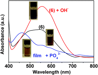 Solution of monomer (6) in DMSO/water (90 : 10, v/v), 2 × 10−3 M, before and after addition of hydroxide or phosphate anions 2 × 10−2 M).