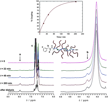 Selected 300 MHz 1H NMR spectra (left: 6.5–8.5 ppm; right: 3.8–4.8 ppm) in DMSO-d6 of the conjugation reaction between NHS–poly(MePEGMA-co-AN) copolymer (P1) and benzylamine in DMSO/TEA (95/5; v/v) mixture at various reaction times and after dialysis. Inset: kinetic plots of the conjugation following the appearance of the amide peak (a) at 7.98 ppm.