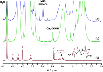 Selected 300 MHz 1H NMR spectra (0–5.0 ppm) in D2O of NHS–poly(MePEGMA-co-AN) copolymer P1 (a), GPE-poly(MePEGMA-co-AN) bioconjugate (b) and Gly-Pro-Glu (GPE) peptide (c).