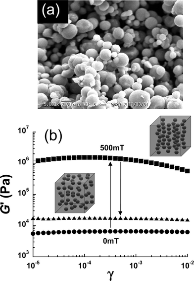 (a) Magnetic particles used in the present study. (b) Effect of magnetic field on the strain dependence of storage modulus for polyurethane elastomers containing CI particles (ϕ = 0.29).