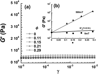 (a) Strain dependence of storage modulus for magnetic elastomers with various volume fractions. (b) Storage modulus in the linear viscoelastic regime at 0 and 500 mT as a function of the volume fraction of CI particles. Solid line represents the Einstein equation, broken line is a guide to the eye.