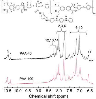 
            1H NMR spectra of the poly(amic acid) copolymers (PAA-40, PAA-100).