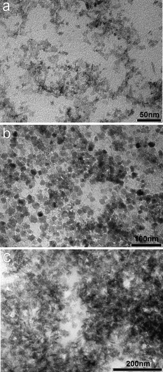 
          TEM images of washed material obtained from the dextranase enzyme treatment of metal oxide particle coated Sephadex bead organic supports showing nanoparticles of (a) Co3O4; (b) Fe3O4 and (c) Mn3O4.