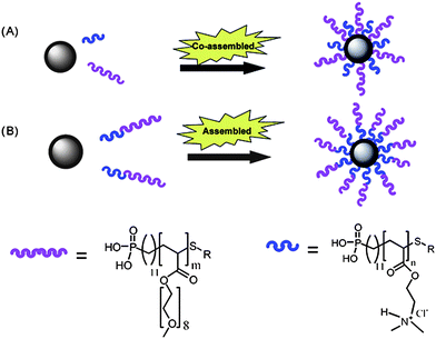 A graphical representation of the strategies used by Boyer et al. for (A) simultaneous grafting of two homopolymers, and (B) grafting of diblock copolymers. Reprinted with permission from Journal of Materials Chemistry.167