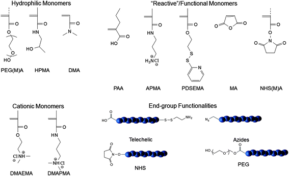 Reactive monomers and functional groups utilized for delivery vehicles prepared viaRAFT Polymerization.