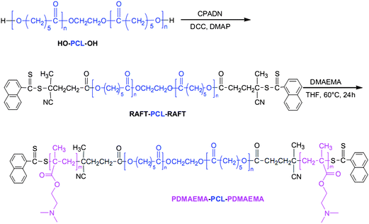 Synthetic pathway for the preparation of PDMAEMA–PCL–PDMAEMA degradable copolymers. Reprinted with permission from Biomaterials.44