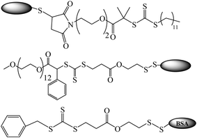 Bovine serum albumin (BSA)-macro RAFT agents.134,150,151
