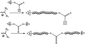 Schematic of the polymer synthesis by RAFT process using a thiocarbonylthio or a symmetric trithiocarbonate RAFT agent.