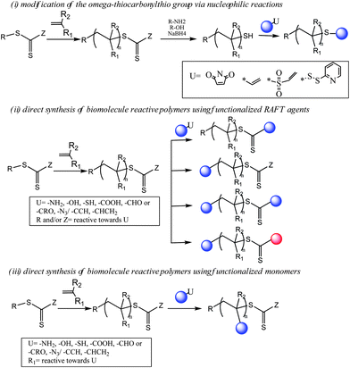 Post-polymerization bioconjugation strategies using RAFT technique.