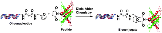 Preparation of peptide-oligonucleotide bioconjugates by DA “click” reaction.