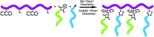 Synthesis of hetero-graft copolymer via one-pot CuAAC and DA “click” reactions.