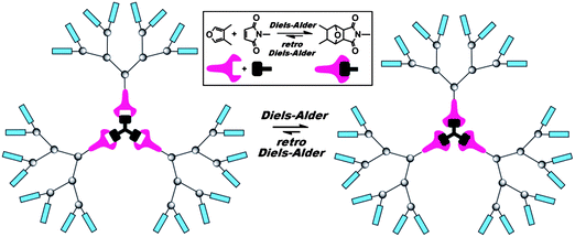 Reversible furan–maleimide Diels–Alder reaction for the formation and controlled cleavage of dendrimers around a plurifunctional core.