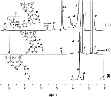 
          1H-NMR (from bottom to top): (I) pre-functionalised block copolymer (d-DMSO); (II) alkyne functionalisation of terminal hydroxyls on the PPDEGMA block (d-DMSO); (III) after ‘Clicking’ of azide galactose on polymer (D2O).