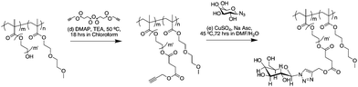 Postfunctionalization of the terminal hydroxyl moieties on the polymers. For the PHEMA based (co)polymers, m′ = 1.