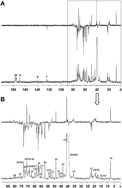 
            13C DEPT-135 NMR spectrum of hyperbranched poly(amine-ester)s in d6-DMSO.