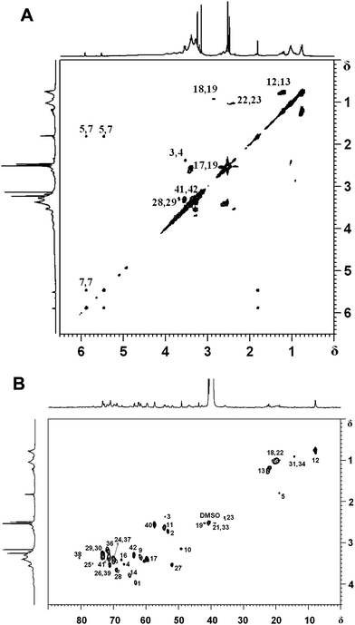 
            2D NMR spectra of hyperbranched poly(amine-ester)s: (A) 1H,1H-COSY spectrum, (B) 13C,1H-HSQC spectrum.