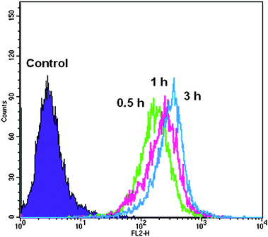 
            Flow cytometry histogram profiles of COS-7 cells incubated with RB-labeled hyperbranched poly(amine-ester)s at different time intervals.