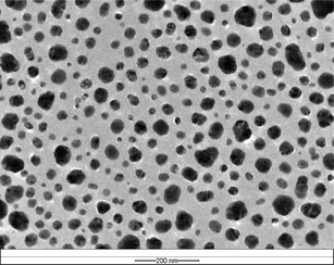
          TEM micrograph of the silver nanocores. The scale bar is 200 nm.