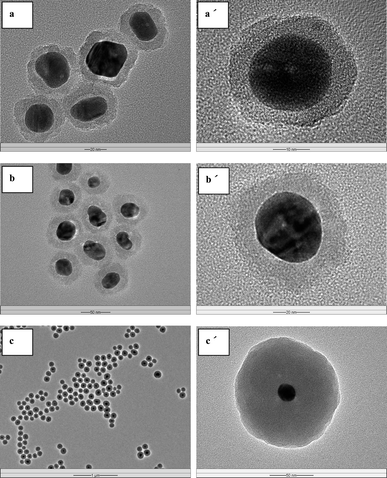 
          TEM micrographs of the (b) Ag@SiO2 core–shell NPs with different silica shell thickness: (a) and (a′) 8 nm, (b) and (b′) 15 nm, (c) and (c′) 53 nm. The respective scale bars for (a), (a′), (b), (b′), (c) and (c′) are 20, 10, 50, 20, 1000 and 50 nm.