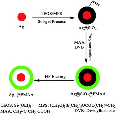 Schematic illustration of the synthesis of Ag@SiO2@PMAA core–double shell and Ag@air@PMAA rattle-type hybrid NPs.