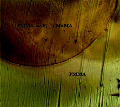 
            Optical microscope image of a preliminary chiral optical fibre consisting of PMMA-co-P(−)-MnMA core and pure PMMA cladding.