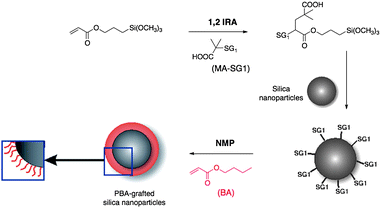 Modification of silica particle surfaces by a “grafting from” method based on NMP and 1,2-IRA.