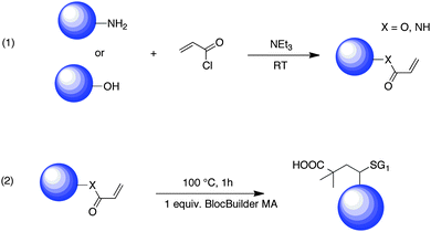 Synthesis of functionalized alkoxyamines from hydroxy or amino compounds.