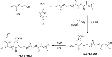 Synthesis of PLA-b-PHEA diblock copolymers.