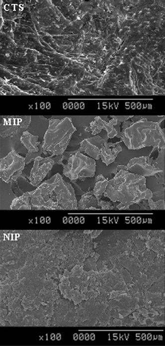 SEM images of CTS, MIP and NIP.