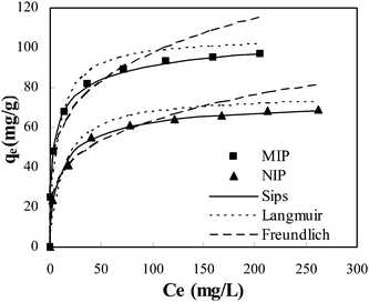 Adsorption isotherm of MIP.