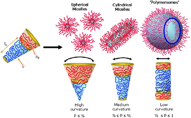 Several structures formed by the self-assembly of amphiphilic block copolymers as determined by the geometry of the amphiphile. The geometry is captured by the dimensionless packing parameter p = v/(a0lc).9 Copyright Wiley-VCH Verlag GmbH & Co. KGaA. Reproduced with permission.