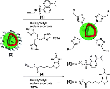 Surface functionalization of polymersomes assembled from PS–PAA–N3 with molecular probesvia click chemistry. The same methodology has been applied to immobilize proteins, e.g. green fluorescent protein.136