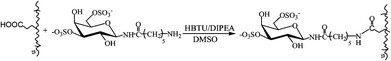 
            Conjugation of polypeptides with N-(ε-aminocaproyl)-3,6-disulfo-β-d-galactosylamine.